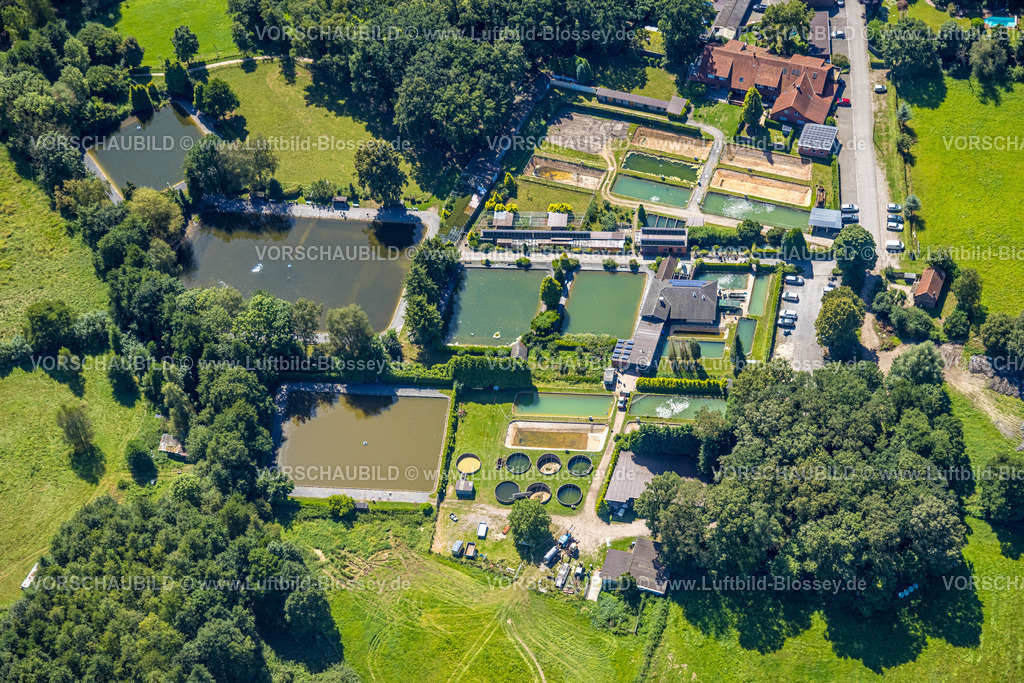 Schermbeck240802008 | Luftbild, Angelparadies Schoel, Fischfarm Forellenzucht und Angelteiche, Lichtenhagen, Schermbeck, Ruhrgebiet, Nordrhein-Westfalen, Deutschland