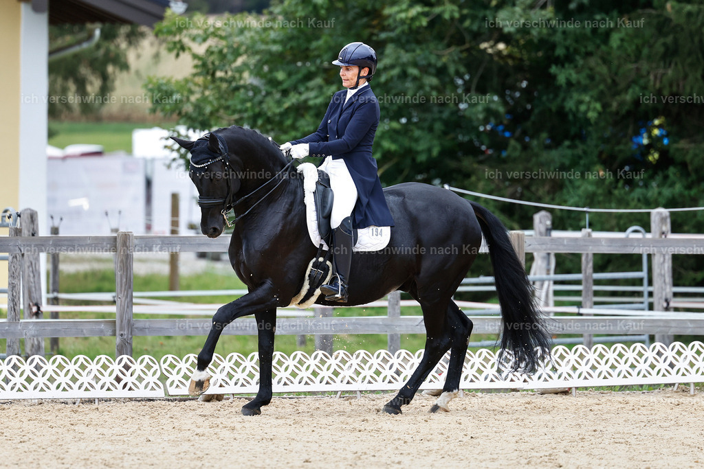 11-194-Dressur S___-StoibPH-1451 | working equitationturnier fotograf videograf stoibphotography marixx film working equitation deutschland reitsport turnierfotografie eventfotografie equestrian events
