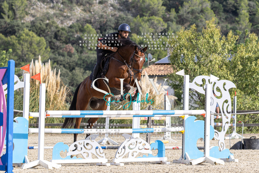 IMG_4238 | s-jay-photography - Realisiert mit Pictrs.com