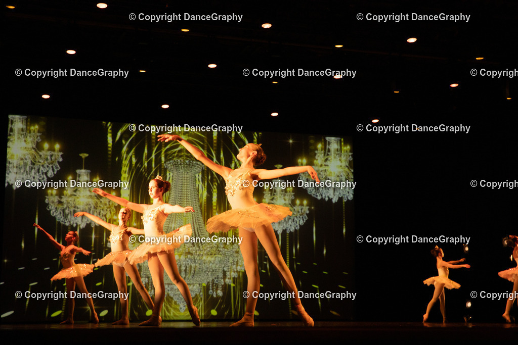 GPHY4493 | DanceGraphy - Realisiert mit Pictrs.com