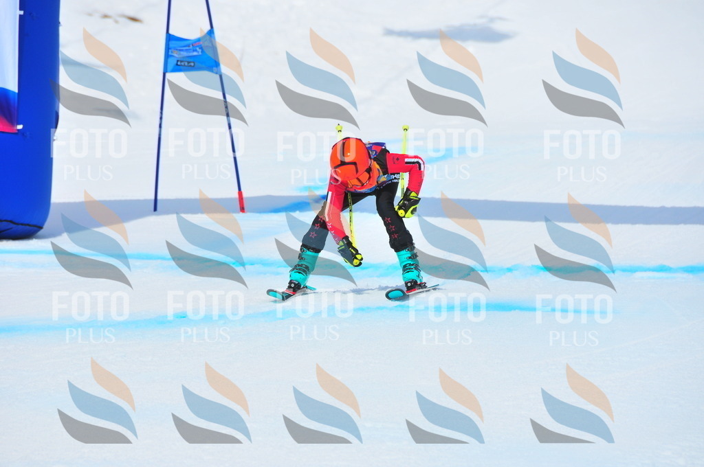 DSC_6216 | holidayphoto