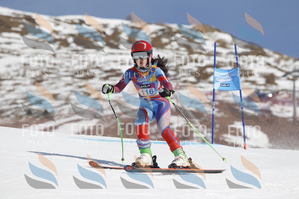 _U3G0623 | holidayphoto