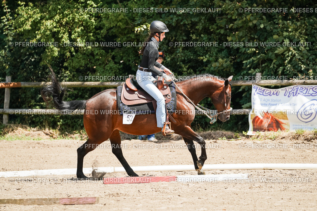 DSC07623 | Pferdegrafie