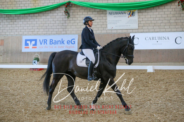 IMG_2647 | Turnierfotos kaufen im Webshop von Daniel Kuhl Photography – entdecke professionelle Reitsportfotos aus Turnieren & Events. Hochwertige Turnierbilder online bestellen & sichern. Jetzt Fotos von Reitsportturnieren kaufen!