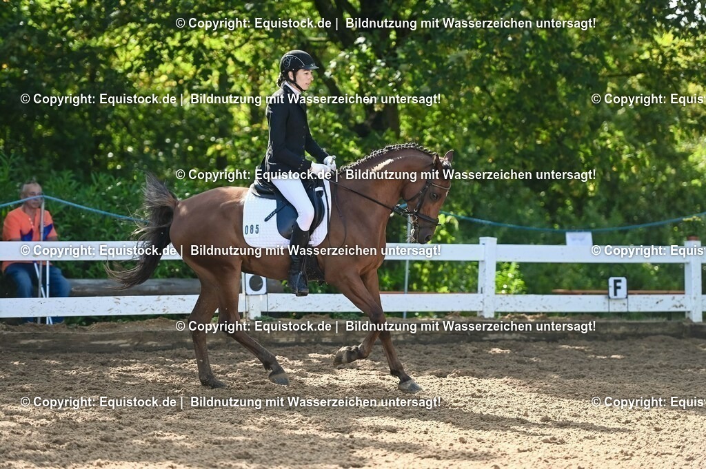 20230716_04_Dressurreiterprüfung Kl.A_0159 | equistock