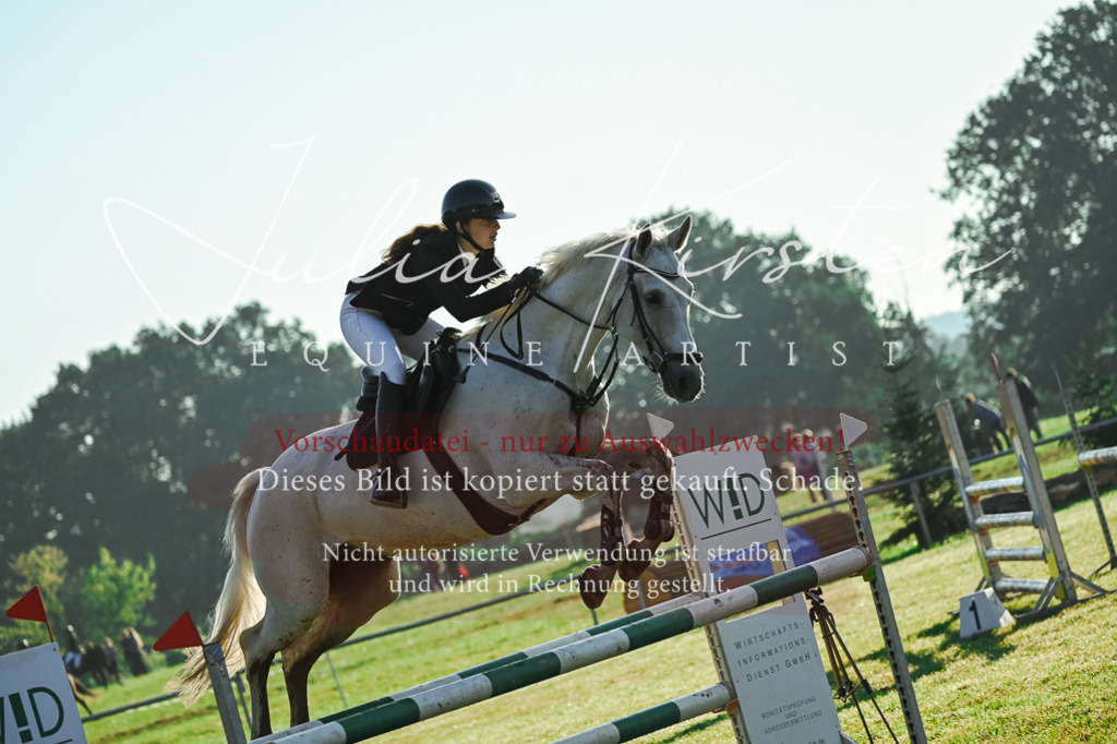 DSC_4056 | Pferde- und Turnierfotografie in Westsachsen. Pferdeportraits, Auftragszeichnungen und intuitive Kunst.