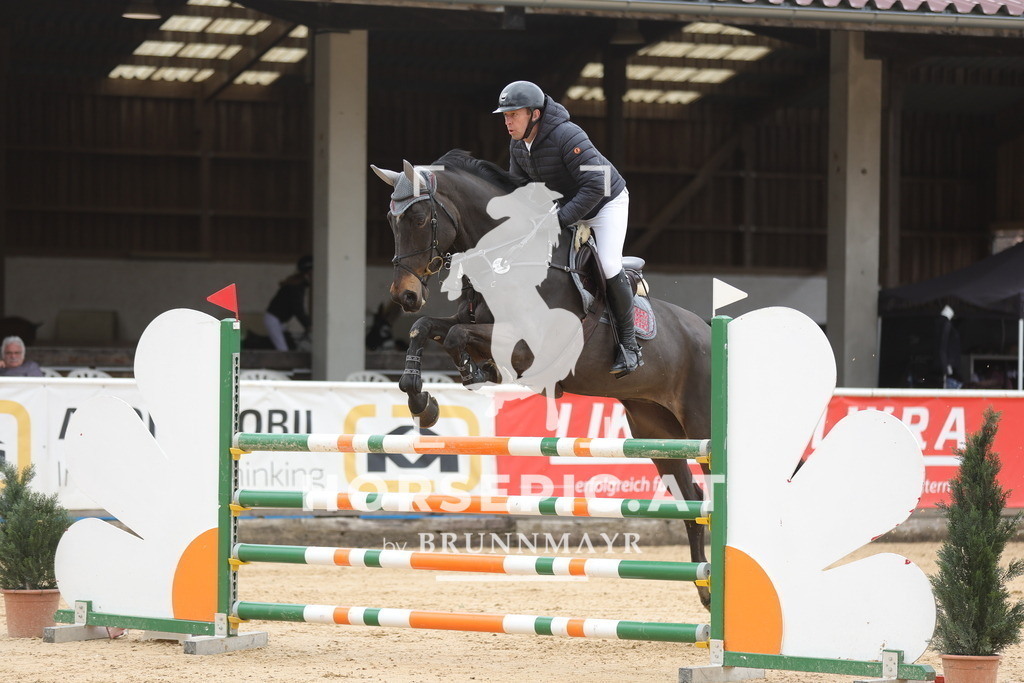 0P6A2144 | Willkommen bei Brunnmayr - Design & Fotografie – Ihrem Spezialisten für Reitturniere und Pferdeveranstaltungen in Oberösterreich, Salzburg und Bayern! Seit über 17 Jahren sind wir leidenschaftlich dabei.