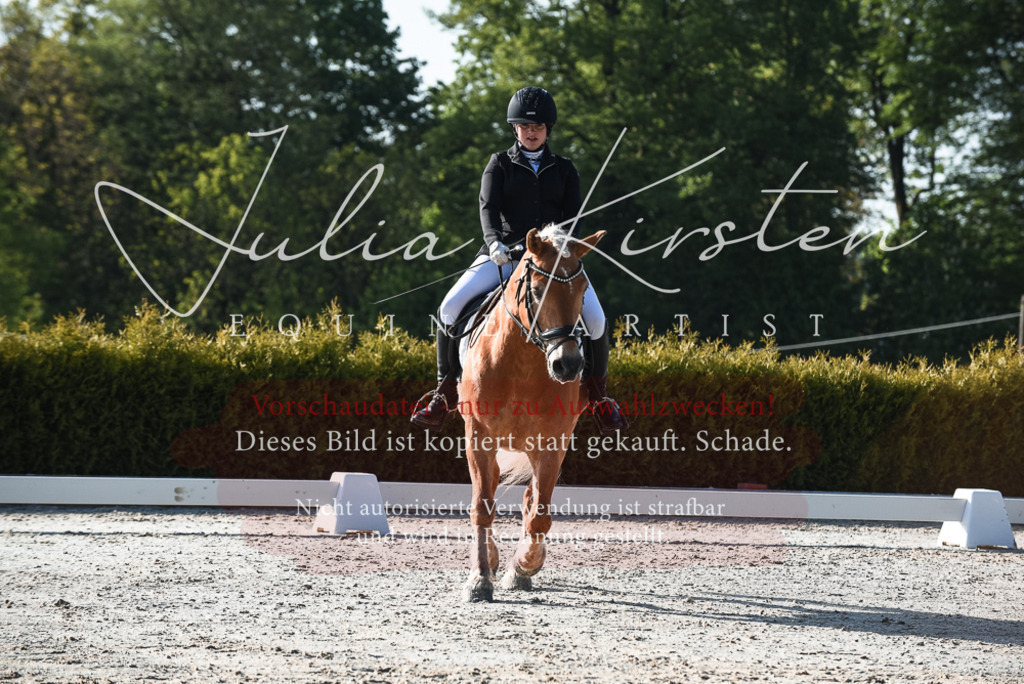 20230518_JK-Röhrsdorf-09-0346 | Pferde- und Turnierfotografie in Westsachsen. Pferdeportraits, Auftragszeichnungen und intuitive Kunst.