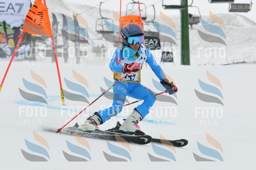 DSC_8936 | holidayphoto