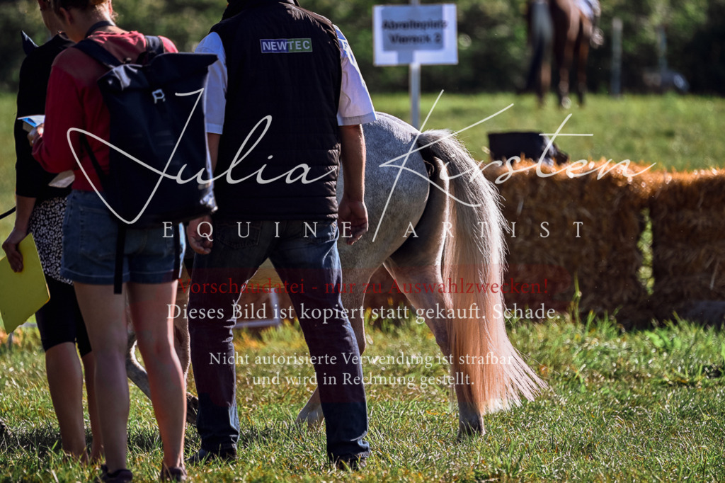 DSC_0403 | Pferde- und Turnierfotografie in Westsachsen. Pferdeportraits, Auftragszeichnungen und intuitive Kunst.