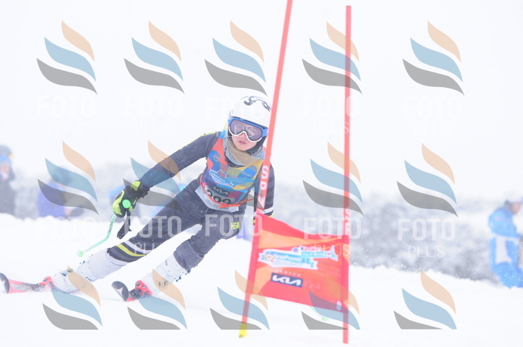 C4226 | holidayphoto