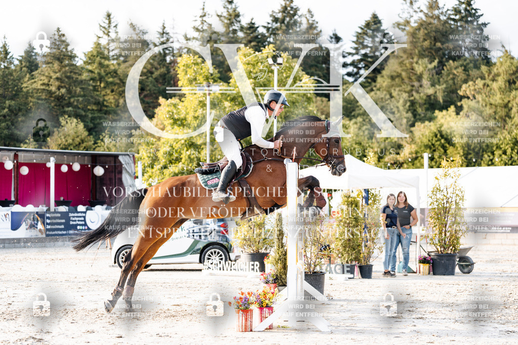 CK903572 | Turnierfotografie Pferdefotografie Trier Rheinland-Pfalz Pferdesport Reitsport Tierfotografie Sportfotografie Pferdevideo Pferdevideografie Equestrianvideography equestrianphotography  - Realisiert mit Pictrs.com