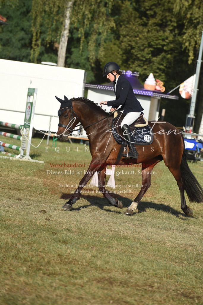 DSC_4920 | Pferde- und Turnierfotografie in Westsachsen. Pferdeportraits, Auftragszeichnungen und intuitive Kunst.
