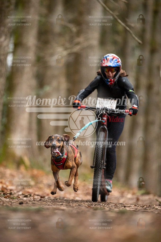 SPA_2023_DIM_Scooter-45 | PayLife