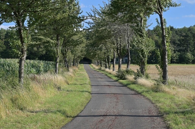F.Gläser_0831 | Naturfotografie Frauke Gläser - Realisiert mit Pictrs.com