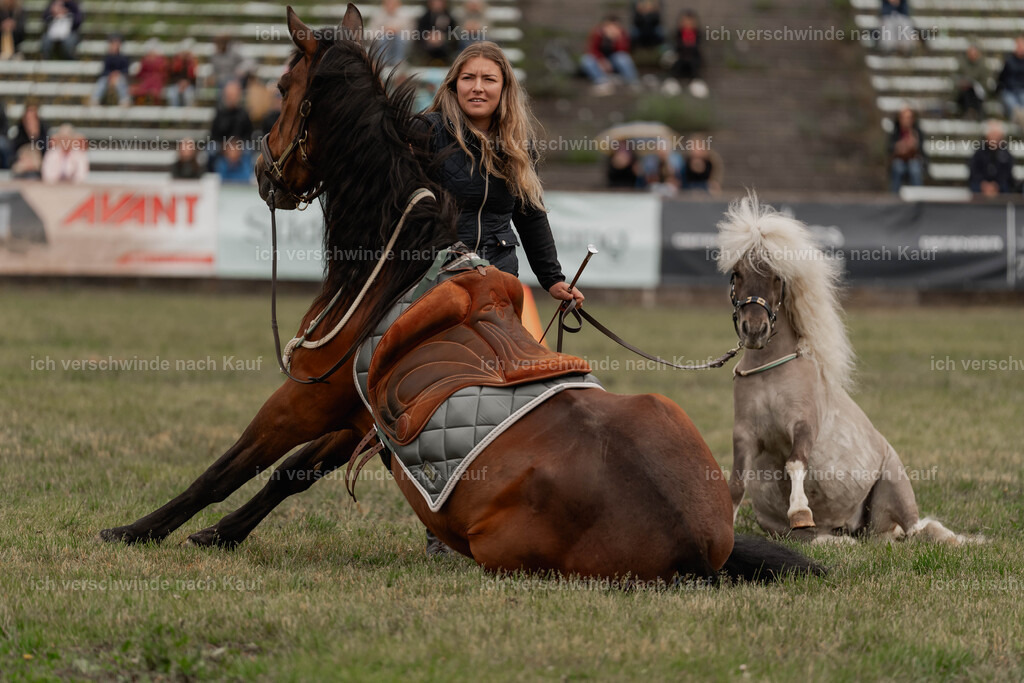 Showprogramm-124 | working equitationturnier fotograf videograf stoibphotography marixx film working equitation deutschland reitsport turnierfotografie eventfotografie equestrian events