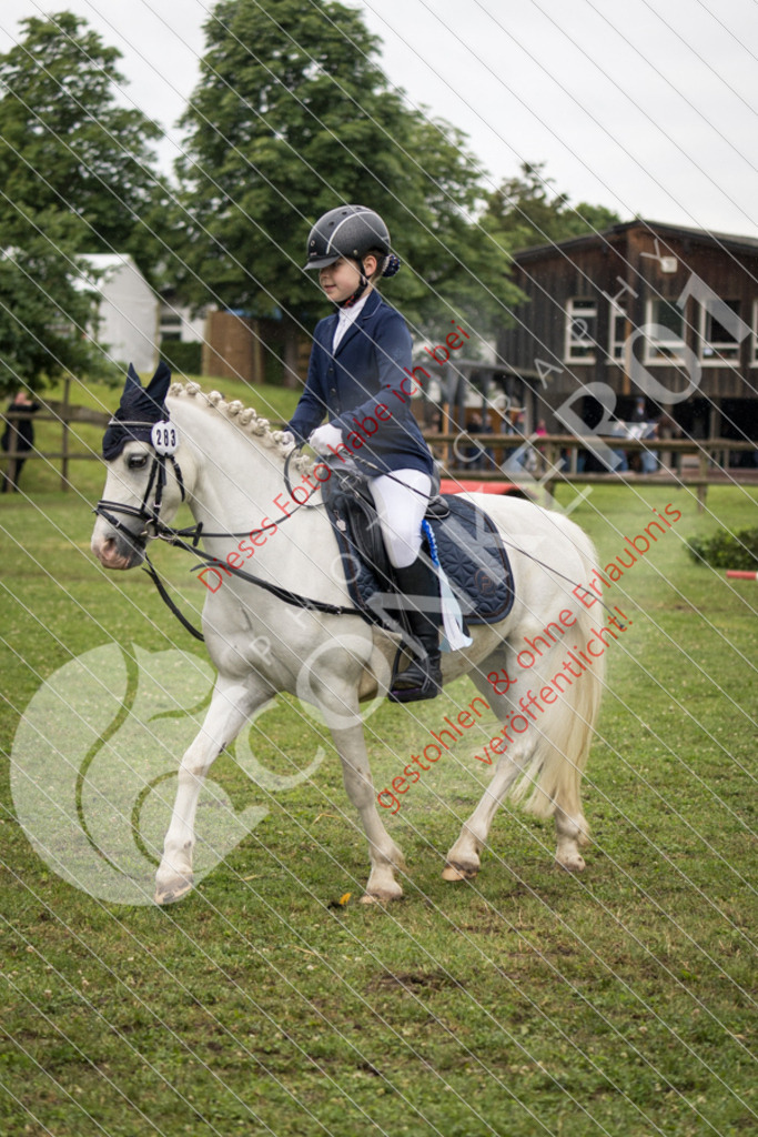 IMG_8029 | Sport-, Event- und Tierfotos in Profiqualität. Einfach auswählen, bestellen und herunterladen. Dein Moment – perfekt festgehalten.