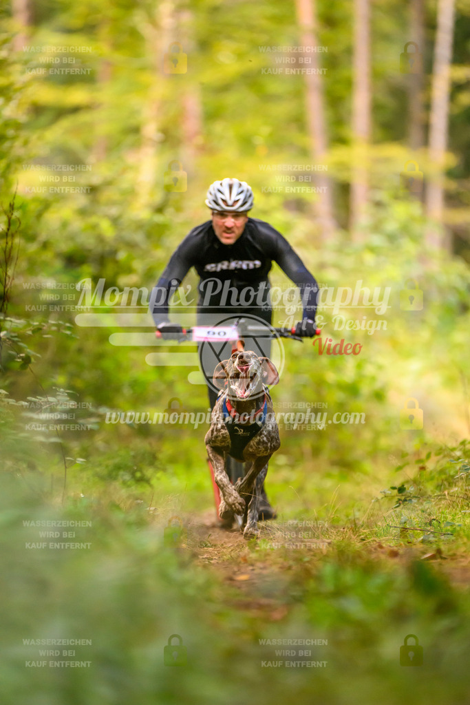 MompixPhotography_Yens2025_B2-40 | PayLife