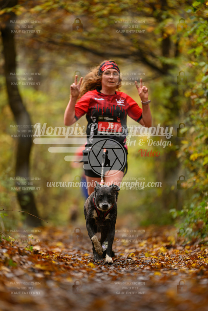 MompixPhotography_CD7S_DI_CCL-78 | mompixphotography