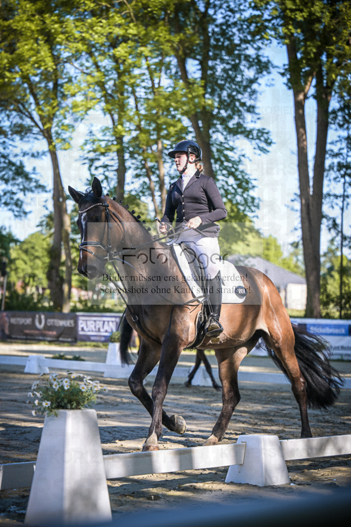 DOS_3229 | Entdecke hochwertige Reitturnierfotos von Foto Oger. Professionell, emotional und authentisch – jetzt Lieblingsmomente im Shop bestellen.Deutschlandweite Turnierfotografie. - Realisiert mit Pictrs.com