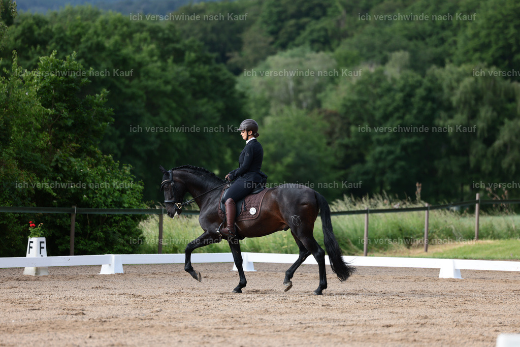 KlasseL_Stoibphotography_CAM20866.JPG | working equitationturnier fotograf videograf stoibphotography marixx film working equitation deutschland reitsport turnierfotografie eventfotografie equestrian events