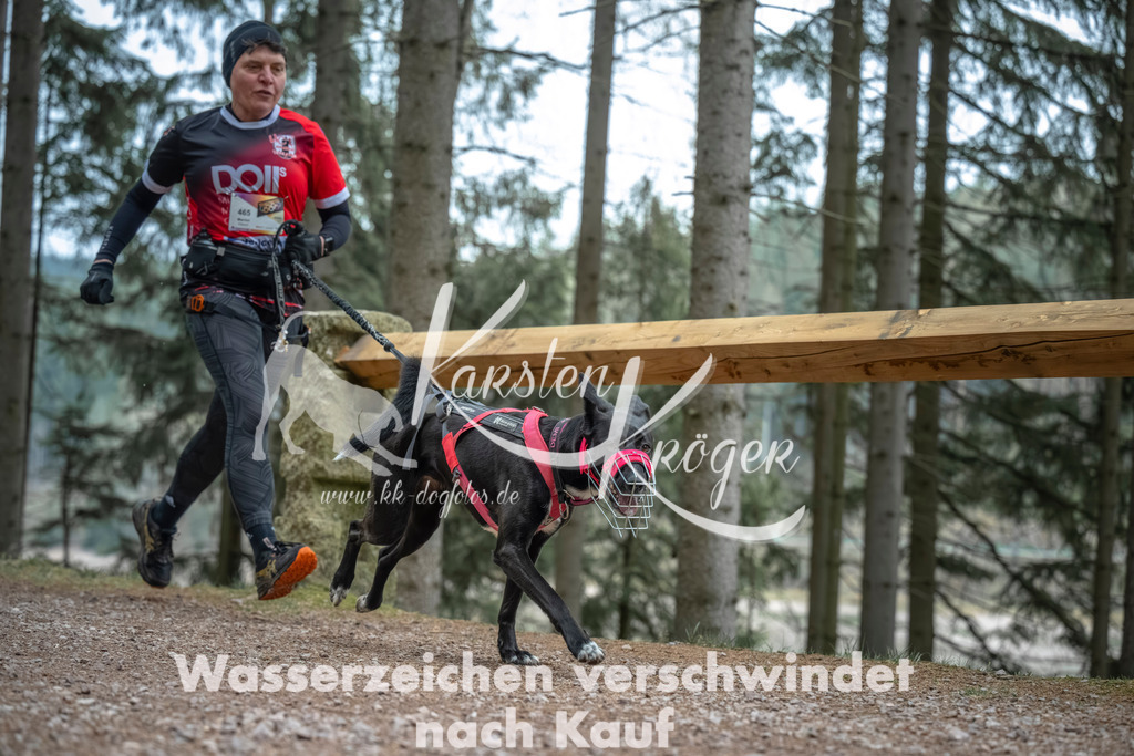 0815_ZZ90620 | kk-dogfotos