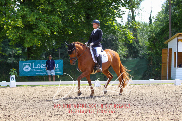 DKP42604 | Turniersportfotografie; Pferdefotografie; Dressurfotografie