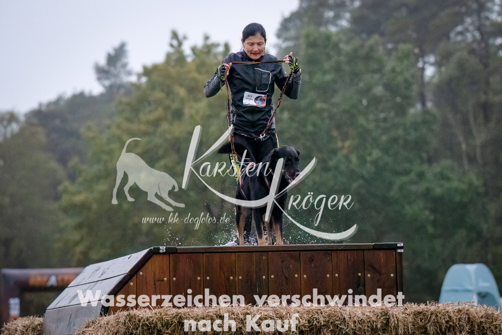 0810-_ZZ90545-Bearbeitet-Bearbeitet | kk-dogfotos