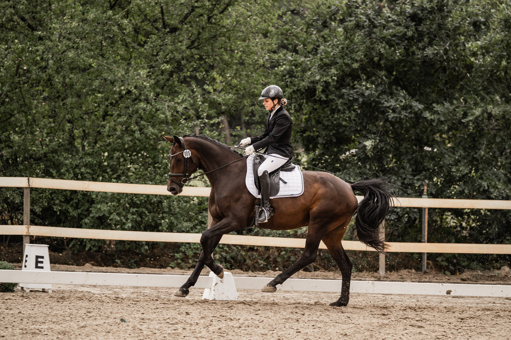 Dressurpferde L-25 | Kristin Schumacher Photography