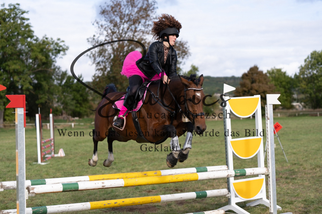 A7V06537 | Pferdefotograf