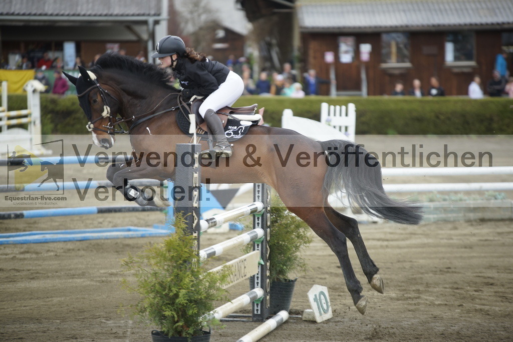 _DSC7910 | equestrian-live-com