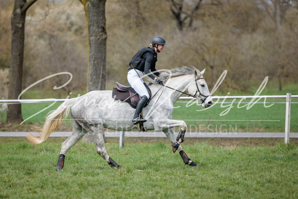 20260329-_3LI5103 | Tierfotografie Pferde, Hunde, Katzen, Haustiere.
Turnierfotografie Reitturniere, Reiten, Springreiten, Dressur in Hanau, dem Main-Kinzig-Kreis und dem Rhein-Main- Gebiet um Frankfurt