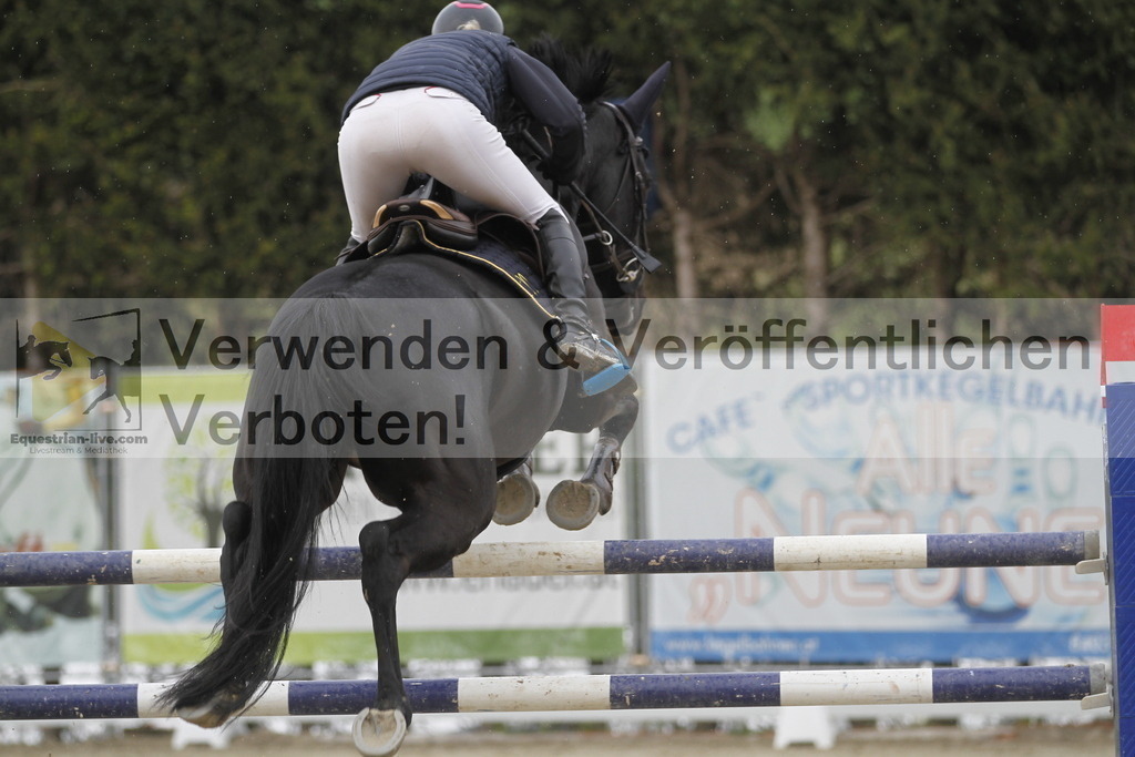 _MG_3407 | equestrian-live-com