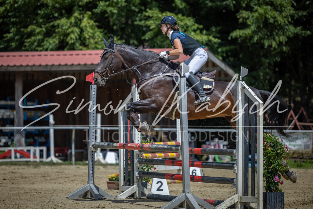 20260704-_3LI9712 | Tierfotografie Pferde, Hunde, Katzen, Haustiere.
Turnierfotografie Reitturniere, Reiten, Springreiten, Dressur in Hanau, dem Main-Kinzig-Kreis und dem Rhein-Main- Gebiet um Frankfurt