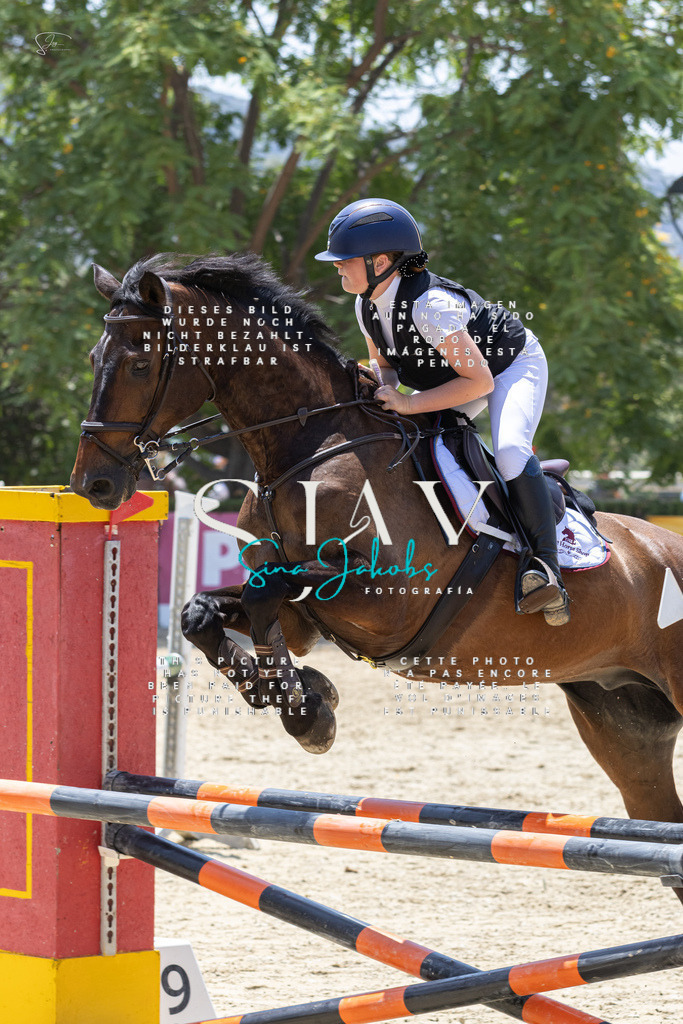 IMG_1303 | s-jay-photography - Realisiert mit Pictrs.com