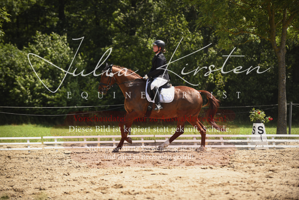 DSC_1307 | Pferde- und Turnierfotografie in Westsachsen. Pferdeportraits, Auftragszeichnungen und intuitive Kunst.