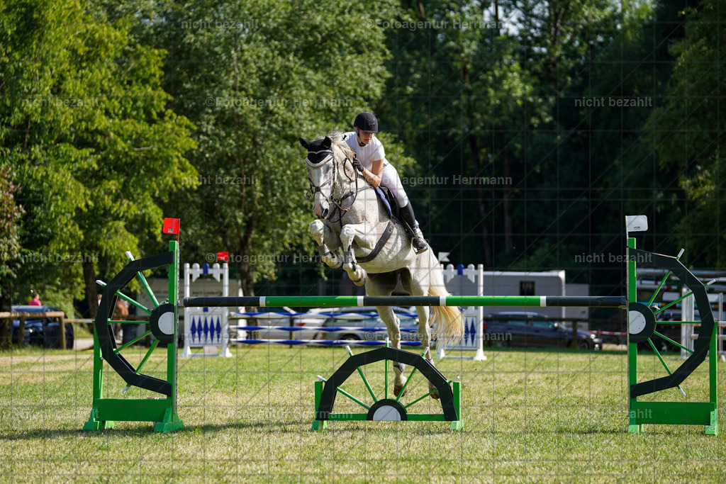 20230701-FAH02296 | Reitturnier Grafing, 2023, Grafing-Aiterndorf, Spribgturnier, Dressurturnier, Bilder, Qualifikation Nürnberger Burgpokal, Fotoagentur Herrmann, Turnierfotografen Bayern, Turnierbilder Bayern, Reitrsportfoto
