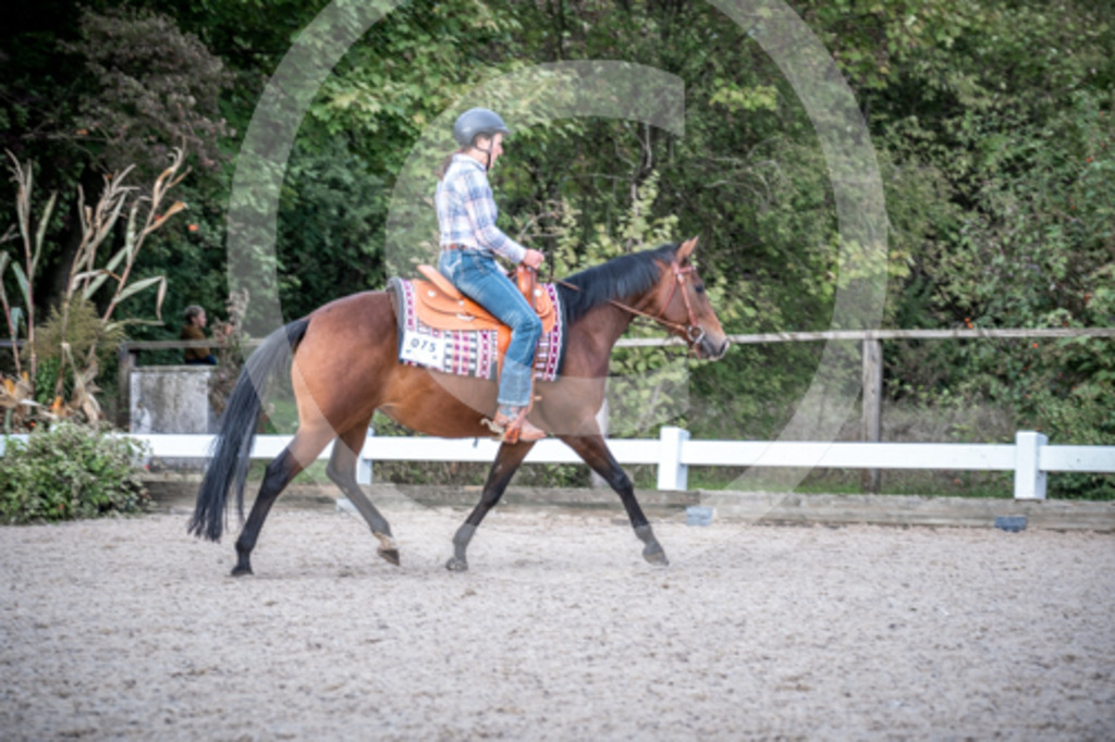 HEB07712 | BS-foto