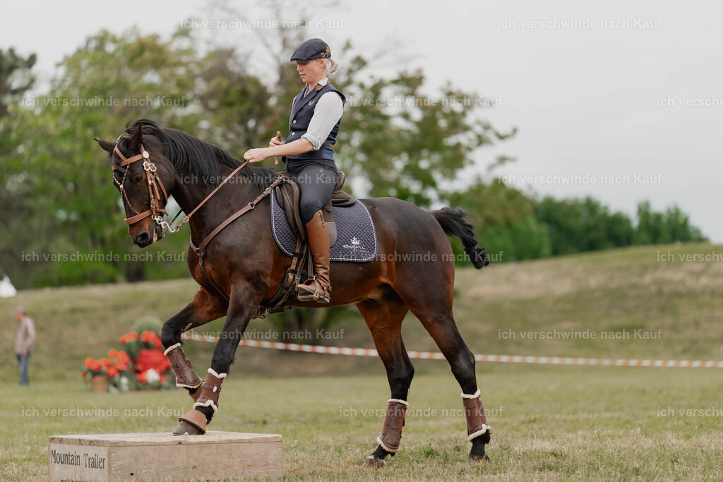 Showprogramm-460 | working equitationturnier fotograf videograf stoibphotography marixx film working equitation deutschland reitsport turnierfotografie eventfotografie equestrian events
