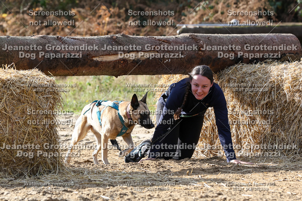 Dog Paparazzi - Strongdog 10-25-5853 | Dog Paparazzi Jeanette Grottendiek Fotografie & Videografie - Realisiert mit Pictrs.com