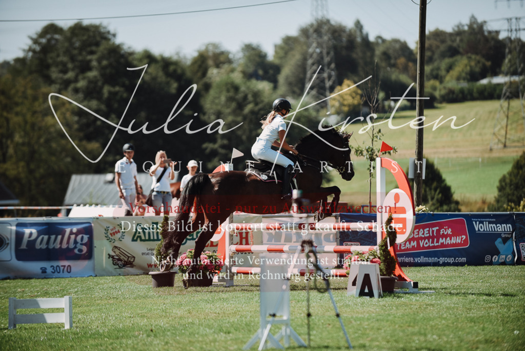 DSC_3217 | Pferde- und Turnierfotografie in Westsachsen. Pferdeportraits, Auftragszeichnungen und intuitive Kunst.