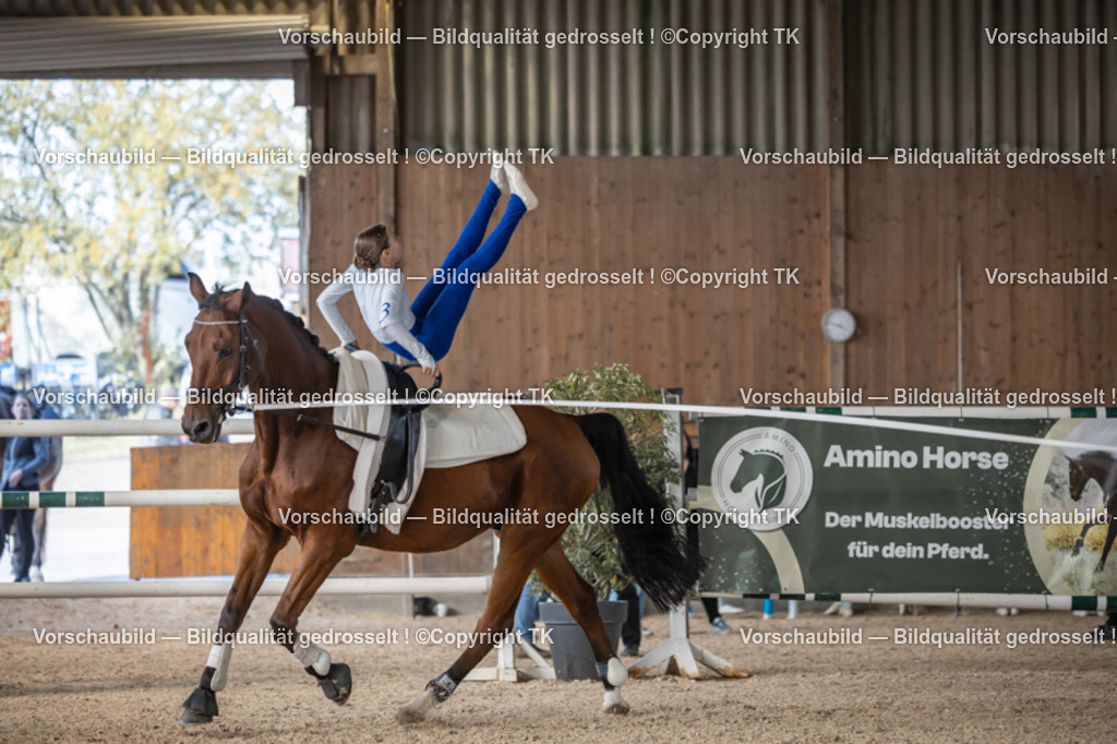 _D5A5645 | Emotionale Pferde- & People-Fotografie rund um Heidelberg, Leimen & Umgebung. Natürliche Fotos von Pferd, Mensch & Familie. Jetzt Termin sichern!
