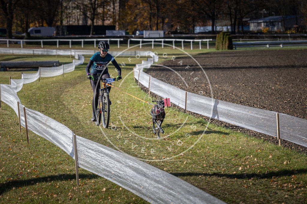 CaniXpix_DV3A7431 | Hundefotografie, Tierfotograf, Pfotenfotografie, Fotoshooting Hund, Hunde Portrait, Hundesport, Hundeportraits, Heideshooting, Hunde, Sportfotograf, Hundefotograf, Turnierhundsport, THS,  - Realisiert mit Pictrs.com