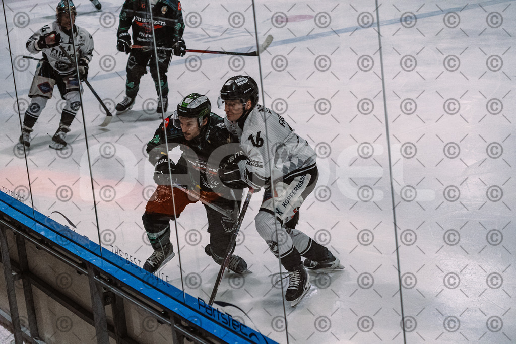 Alligators_vs_Passau_26_12_2025-075 | Höchstadt Alligators Fotogalerie: Eishockey-Action aus Franken. Professionelle Spielfotos, Portraits & Stadionbilder zum Download. Jetzt entdecken! - Realisiert mit Pictrs.com