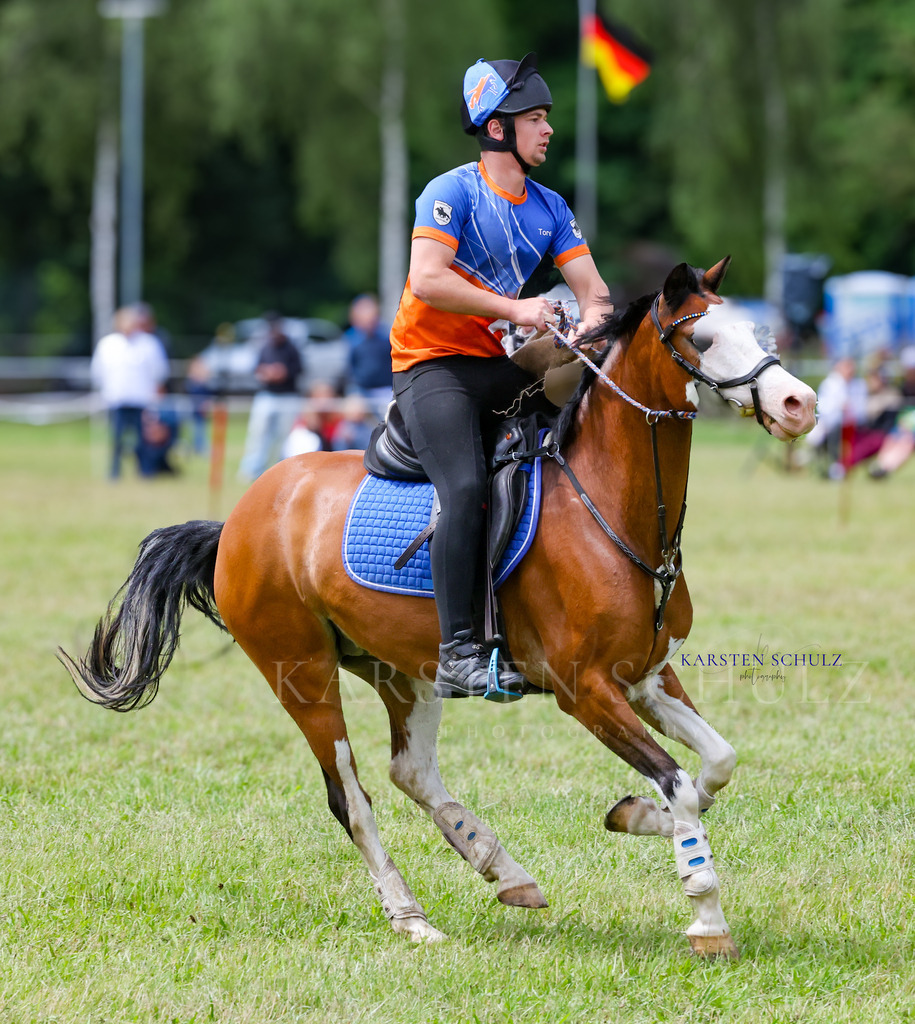 1B3A1767 | Reitsport Reiten