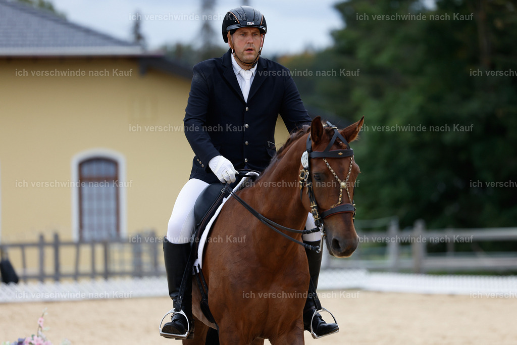 3-239-Dressur M_-StoibPH-2408 | working equitationturnier fotograf videograf stoibphotography marixx film working equitation deutschland reitsport turnierfotografie eventfotografie equestrian events