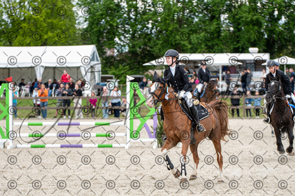 KPT_6441 | andre_photographic