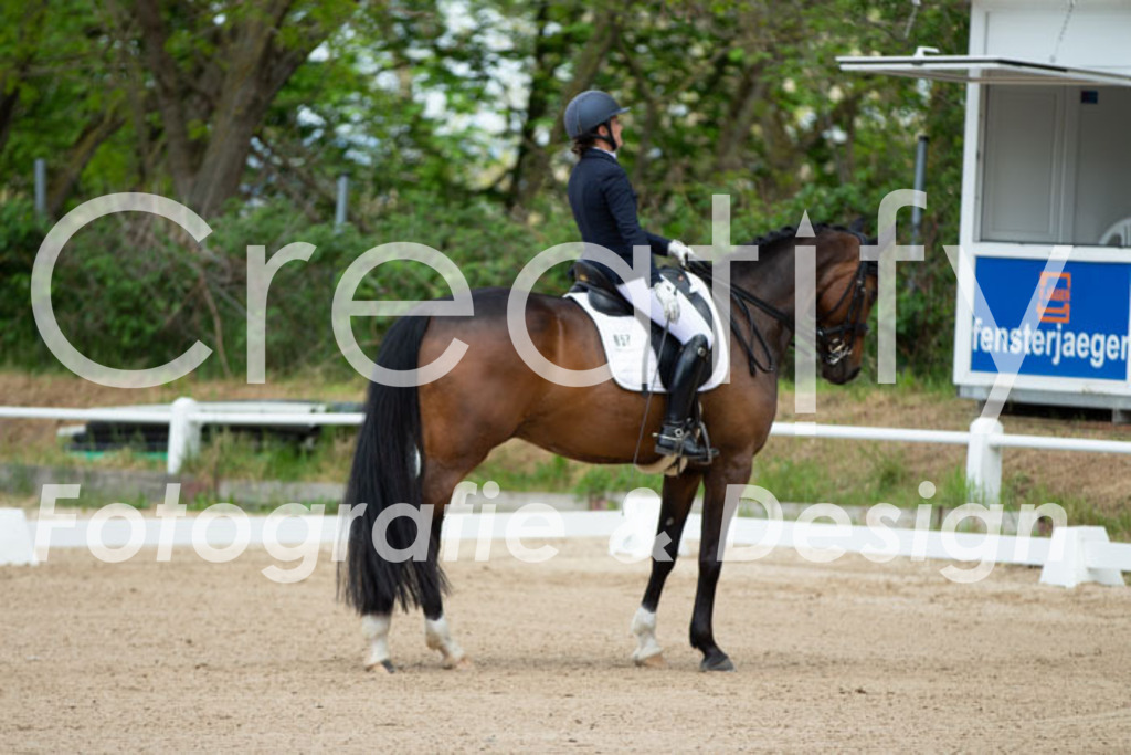 IMG_6025 | Creatify Fotografie