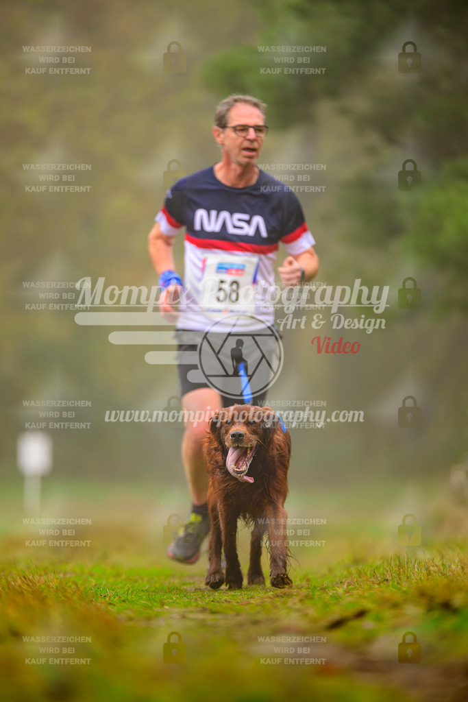 MompixPhotography_Bischwiller2025_Canicross-83 | mompixphotography