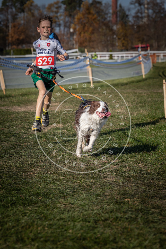 CaniXpix_0L8A7330 | Hundefotografie, Tierfotograf, Pfotenfotografie, Fotoshooting Hund, Hunde Portrait, Hundesport, Hundeportraits, Heideshooting, Hunde, Sportfotograf, Hundefotograf, Turnierhundsport, THS,  - Realisiert mit Pictrs.com
